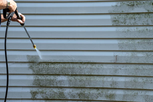 Same-Day Junk Removal Services in Willow Springs, MO